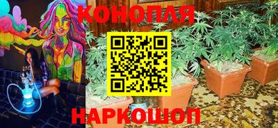 прущие крисы Пушкино