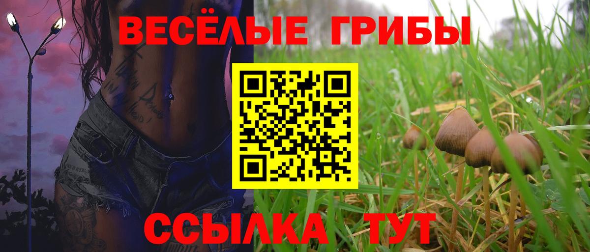 Галлюциногенные грибы Psilocybe  Вход с VPN  Светлоград  Галлюциногенные грибы прущие грибы 